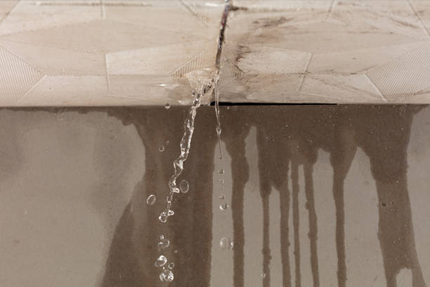 Professional Structural Drying technician working in Hainesport, NJ